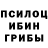 Псилоцибиновые грибы мицелий eloS