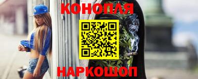 крисы Будённовск