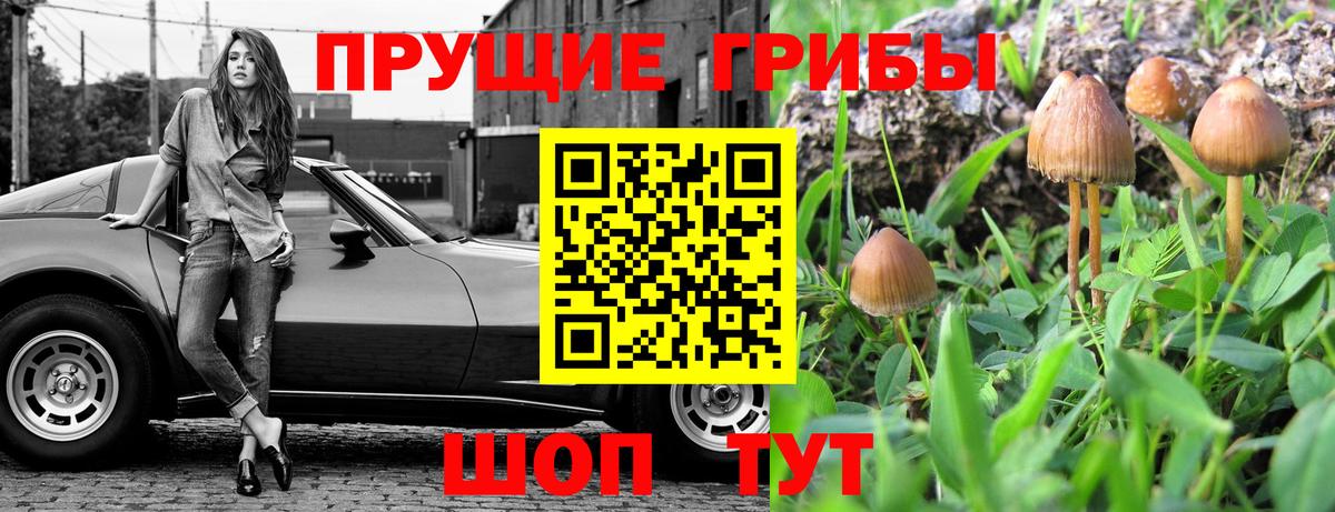 Аргун  Псилоцибиновые грибы Psilocybe  Вход с VPN 